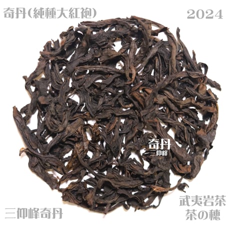 奇丹（純種大紅袍)