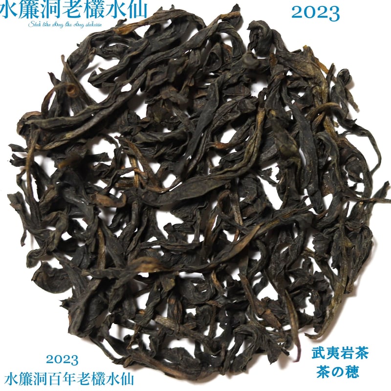 水簾洞老欉水仙 (花香型) | 武夷岩茶 茶の穂