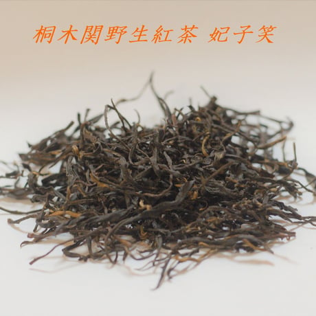 桐木野生紅茶 妃子笑 Premium 2025＆2026