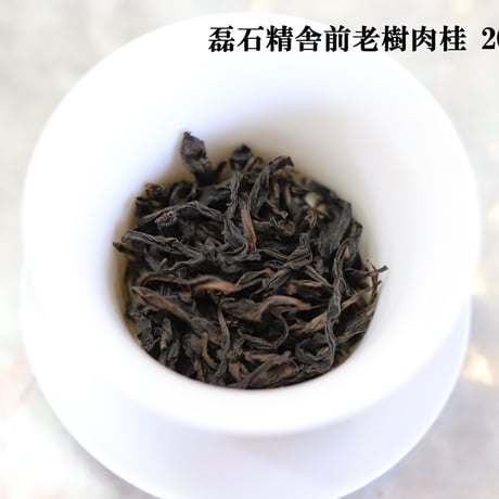 馬頭磊石精舎前老樹肉桂