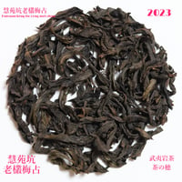 慧苑坑老欉梅占 2023
