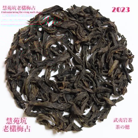 武夷岩茶 茶の穂