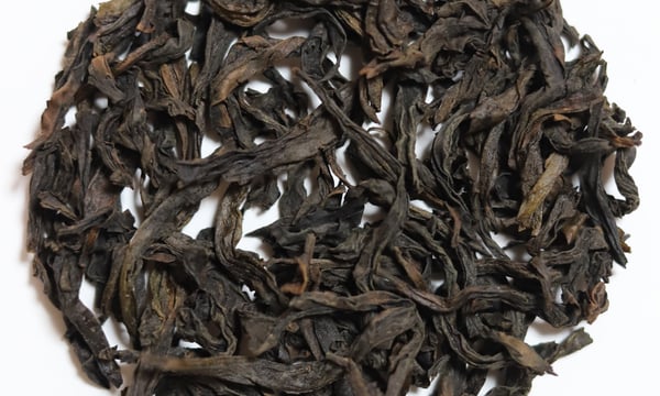 武夷岩茶 茶の穂
