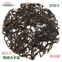 鳳凰単叢 鴨尿香老欉清香 2024 坪坑頭