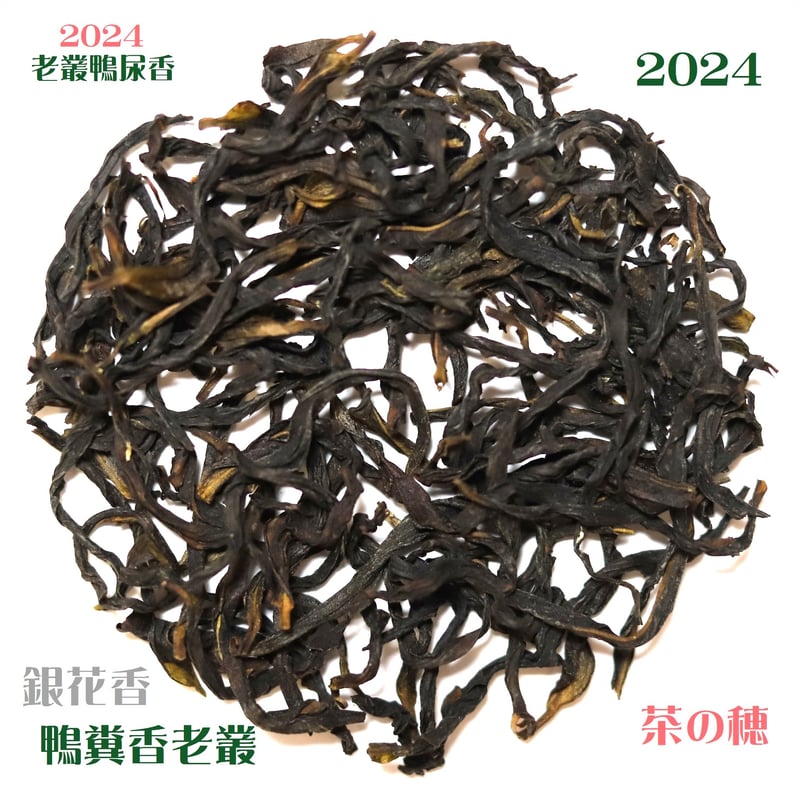 鳳凰単叢 鴨尿香老欉清香 2024 坪坑頭 | 武夷岩茶 茶の穂
