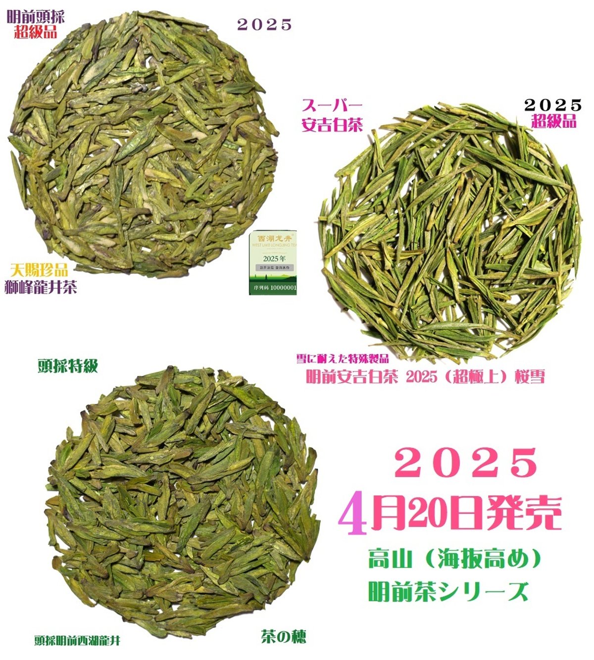 獅峰龍井茶 2025 天賜珍品、頭採明前西湖龍井茶、明前安吉白茶桜雪、4