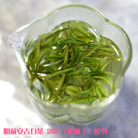明前安吉白茶 2025 桜雪　浙江安吉産の緑茶