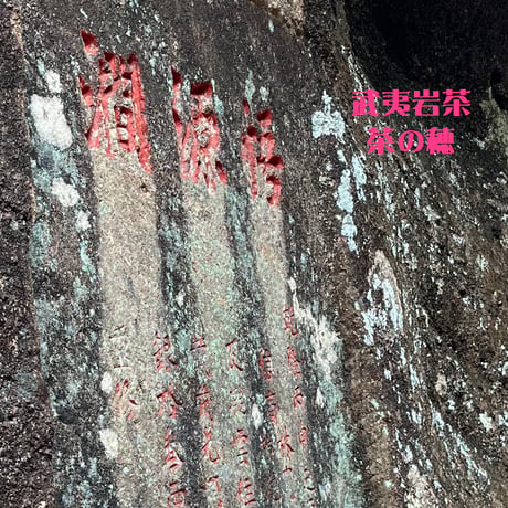 老樹悟源澗肉桂/現代焙煎