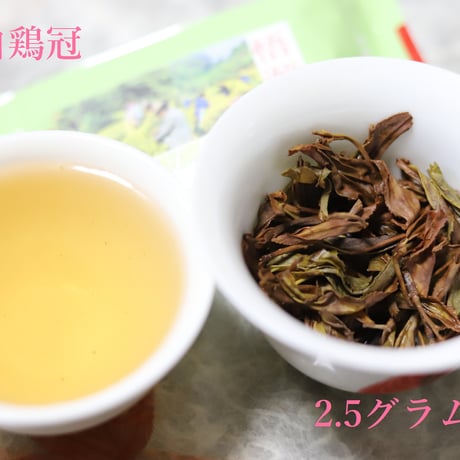 悟源澗白鶏冠 2023