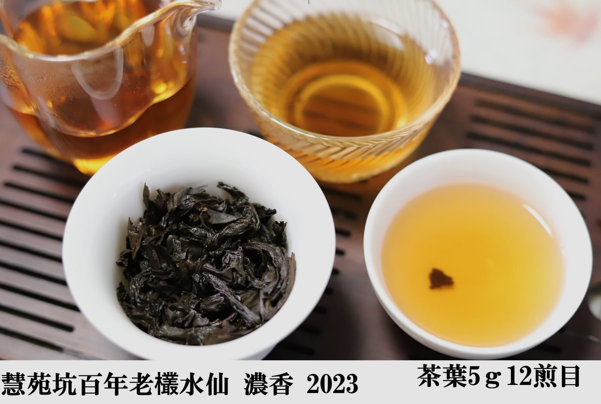 慧苑坑百年老欉水仙 濃香 24年度売上総合1位 | 武夷岩茶 茶の穂