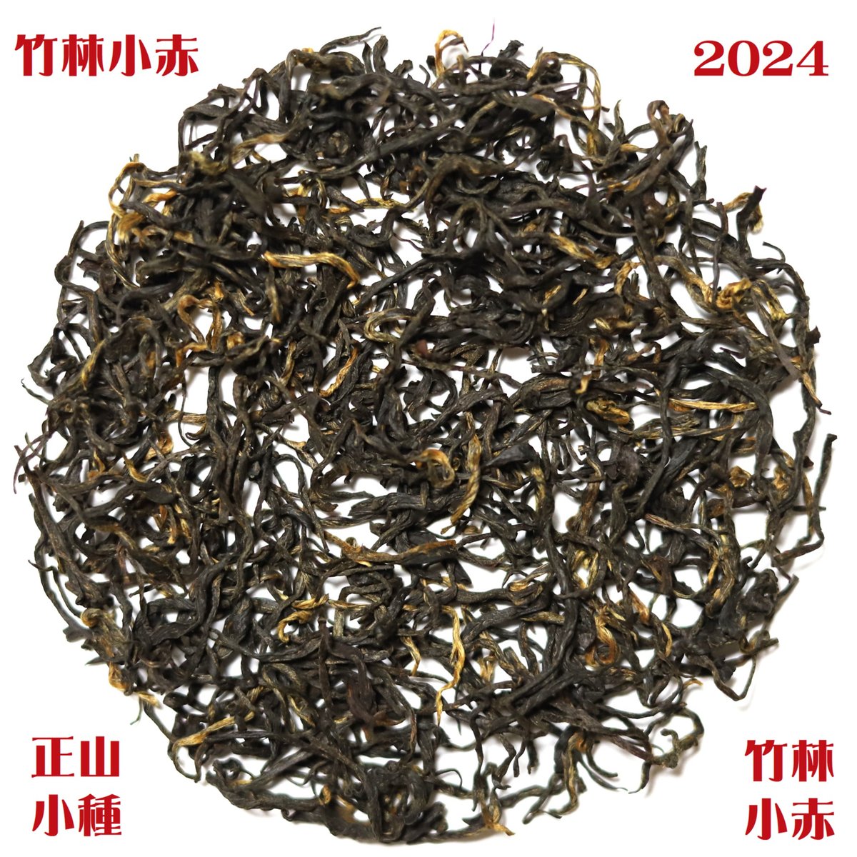 正山小種 竹林小赤紅茶 2024 | 武夷岩茶 茶の穂