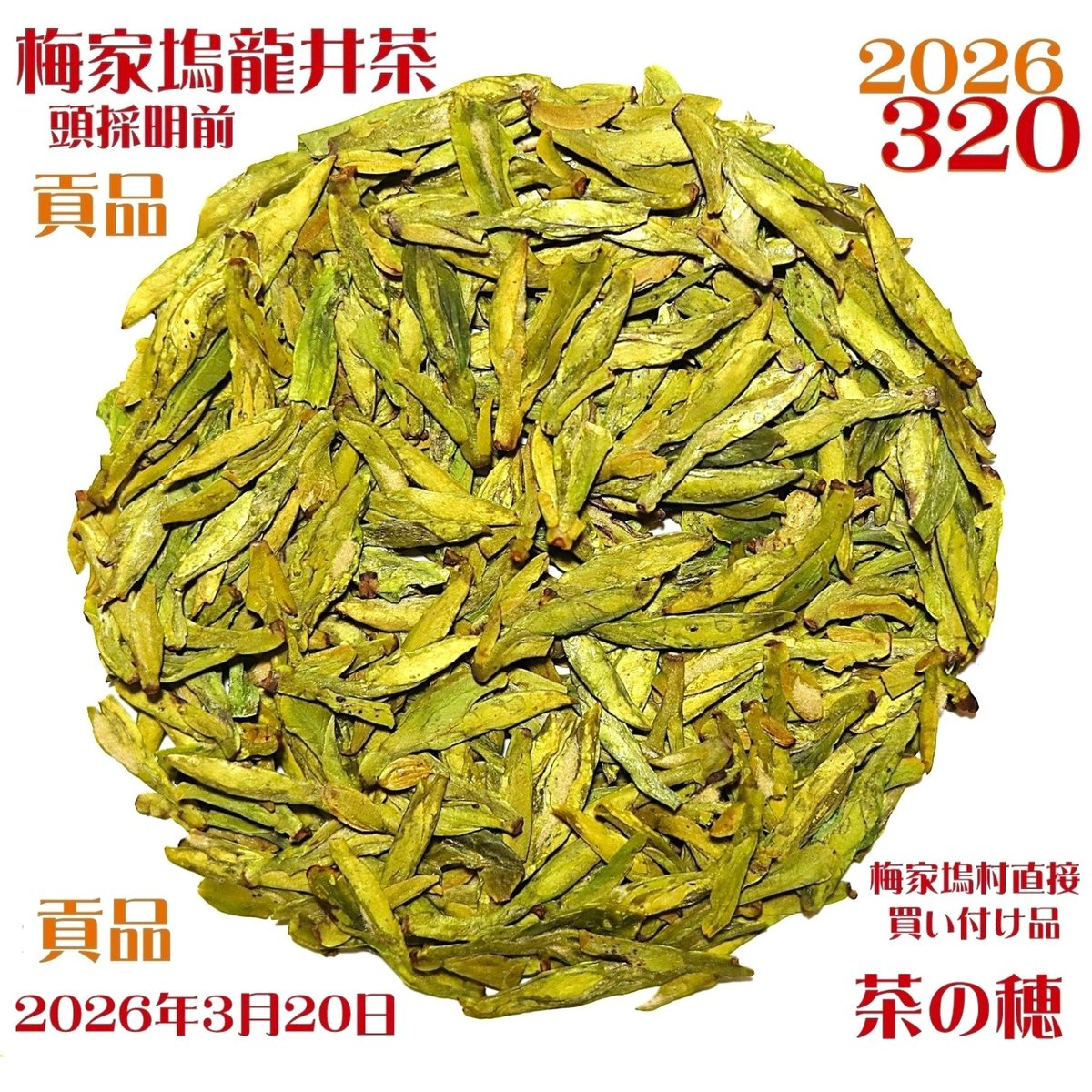 梅家塢龍井茶/頭採明前西湖龍井 2026 貢品 320 | 武夷岩茶 茶の穂