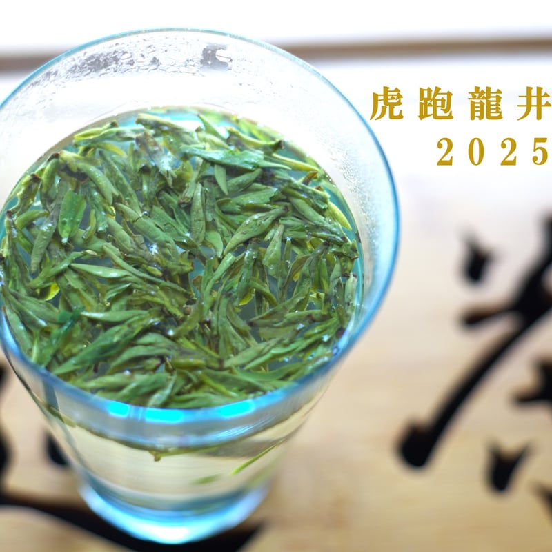 虎跑龍井茶/頭採天賜西湖龍井 2025 | 武夷岩茶 茶の穂