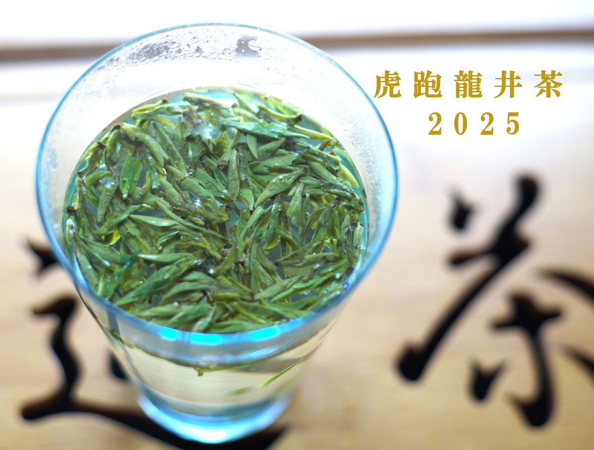 虎跑龍井茶/頭採天賜西湖龍井 2025 | 武夷岩茶 茶の穂
