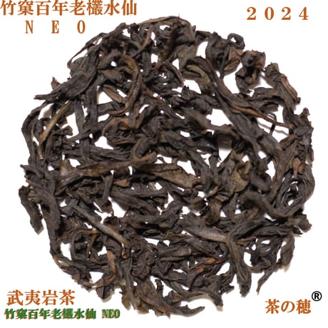 竹窠百年老欉水仙 NEO