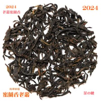鳳凰単叢 蜜蘭香老欉 2024