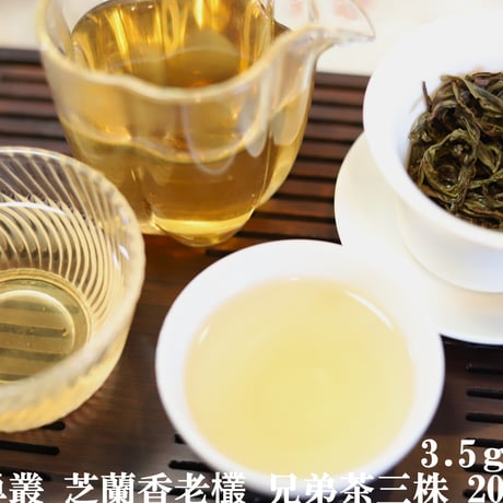 鳳凰単叢 芝蘭香老欉 兄弟茶三株 2024