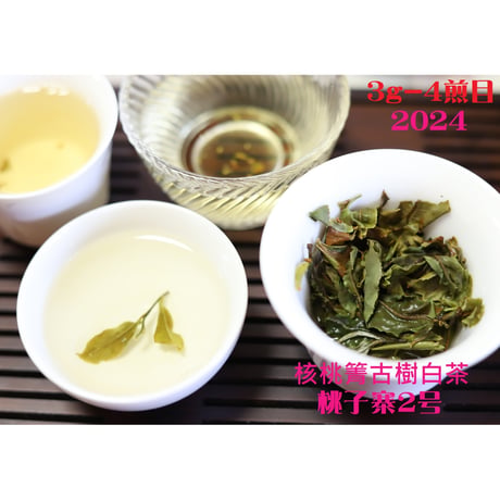 核桃箐古樹白茶 2024　単一茶園限定