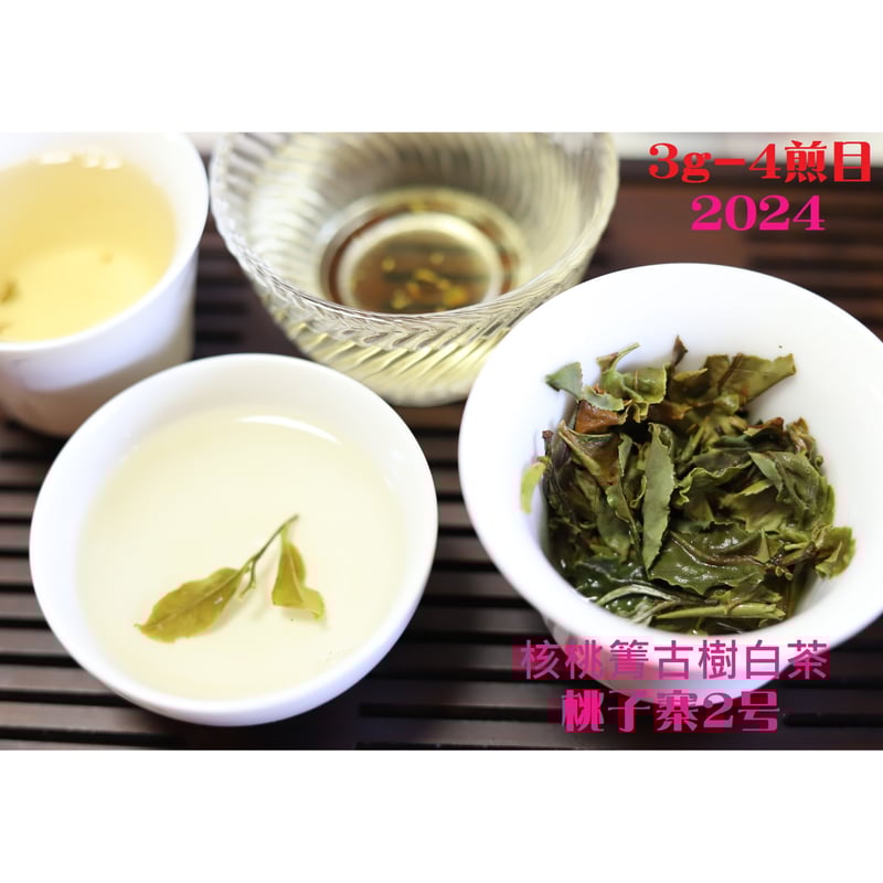 核桃箐古樹白茶 2024 単一茶園限定 | 武夷岩茶 茶の穂