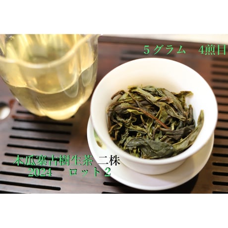 木瓜寨古樹生茶 二株 2024 散茶