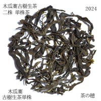 木瓜寨古樹生茶 二株 2024 散茶