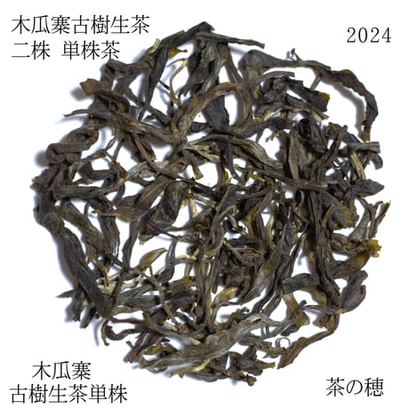 木瓜寨古樹生茶 二株 2024 散茶