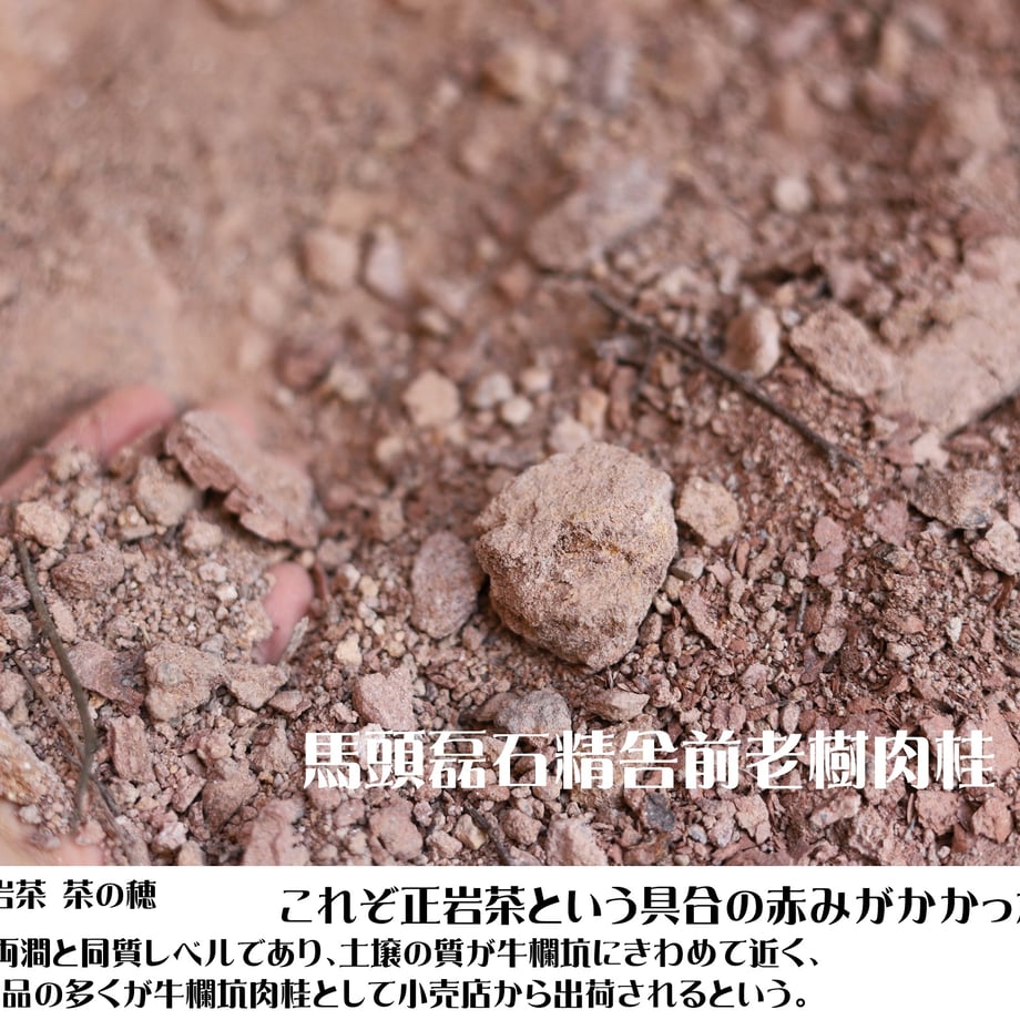 644e4fe0c65008005a90e298