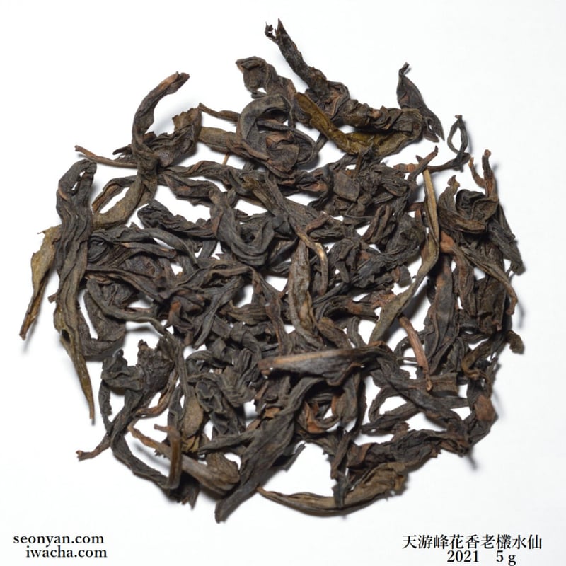 大棗「水仙」浅野 紫仙 作 大棗「水仙」浅野 紫仙 作 大棗「水仙」浅野 紫仙 作