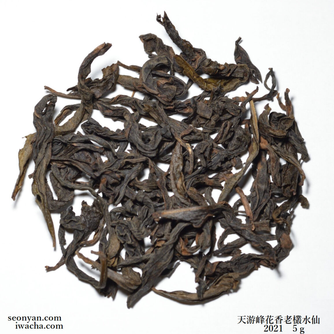 天遊峰花香老欉水仙 (陳茶タイプ) | 武夷岩茶 茶の穂