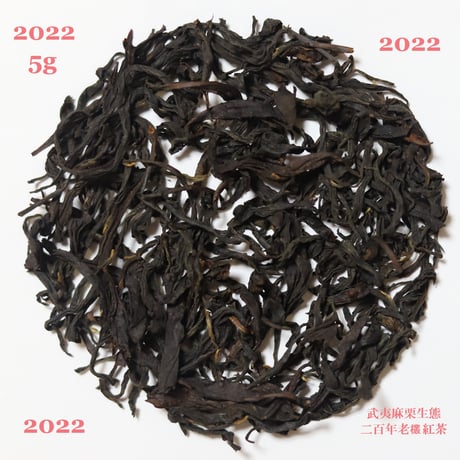 武夷麻栗二百年生態老欉紅茶