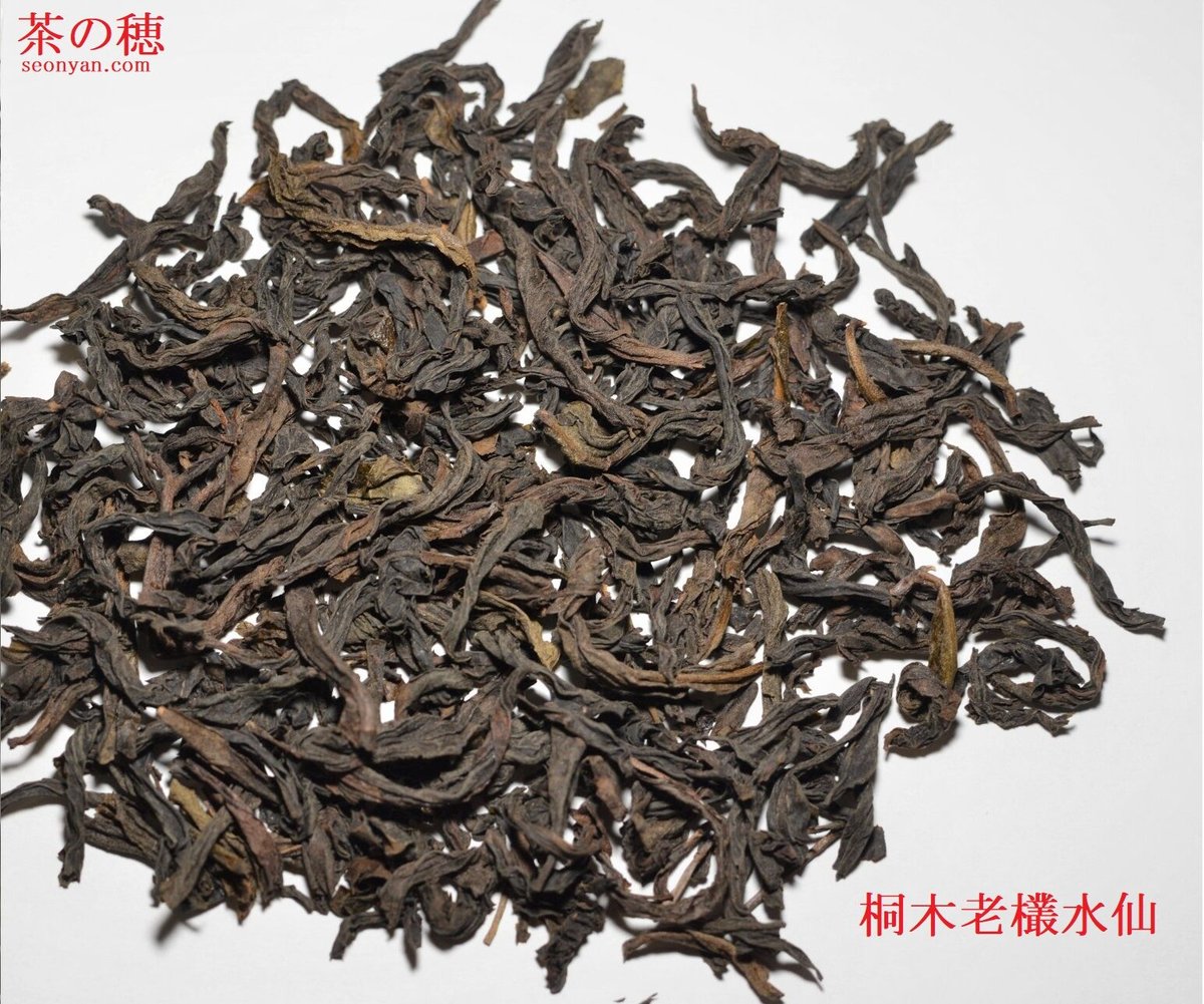 桐木花香老欉水仙（麻栗版） | 武夷岩茶 茶の穂