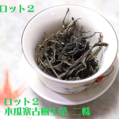 木瓜寨古樹生茶 二株 2024 散茶