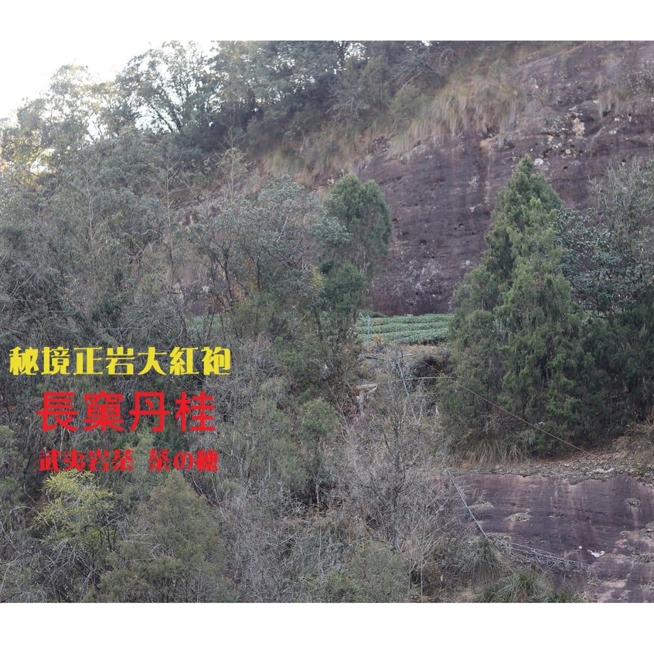 66ab041a5b90ec0cb7047dcc