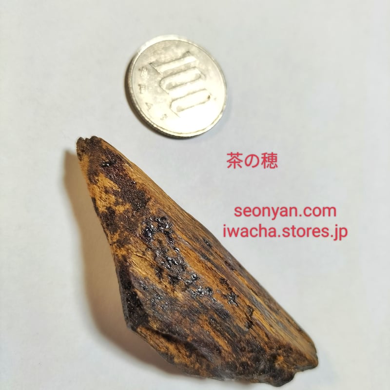 インドネシア カリマンタン島産 香木 2種類 カリマンタン古渡沈香 | 武夷岩茶 茶の穂