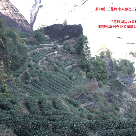 三花峰半天腰/半天妖