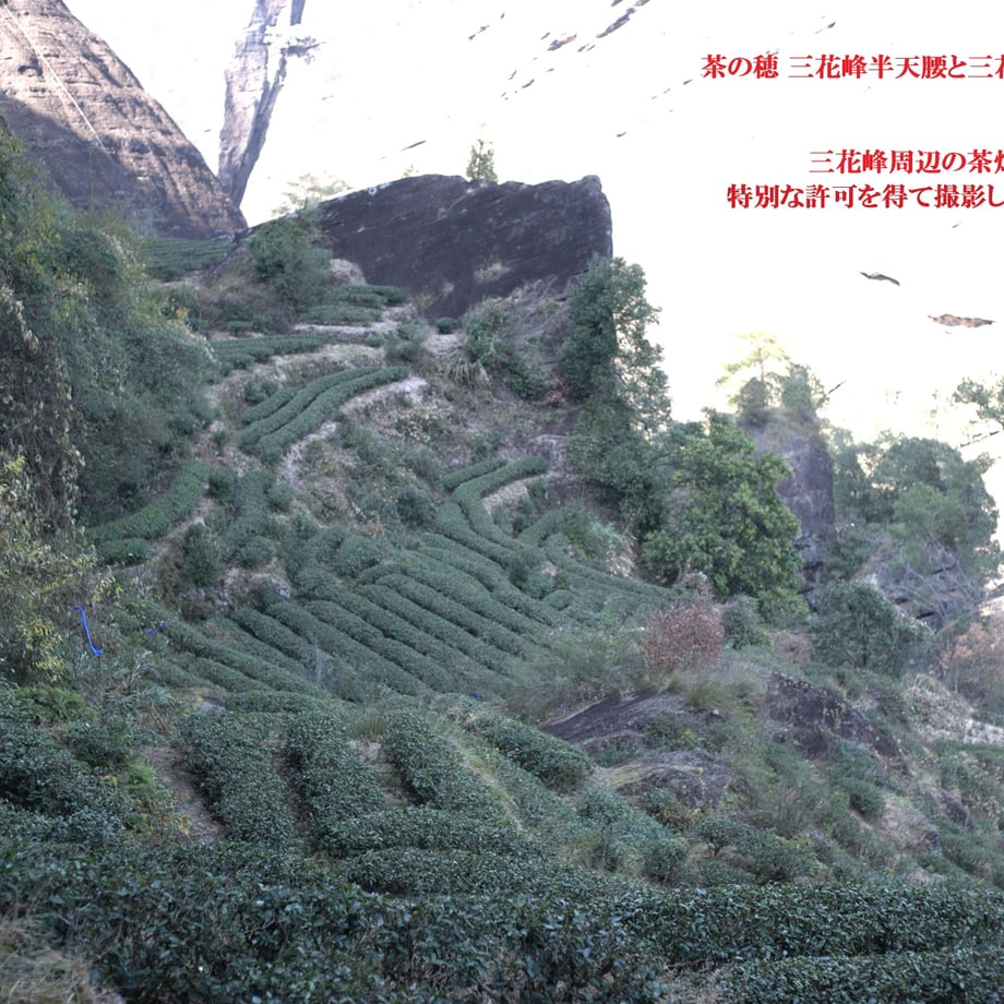 652e58503ef30601ec8c837c