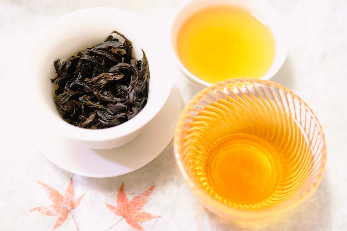 名師天心岩肉桂 伝統型 新年新製品☆スーパーセール | 武夷岩茶 茶の穂