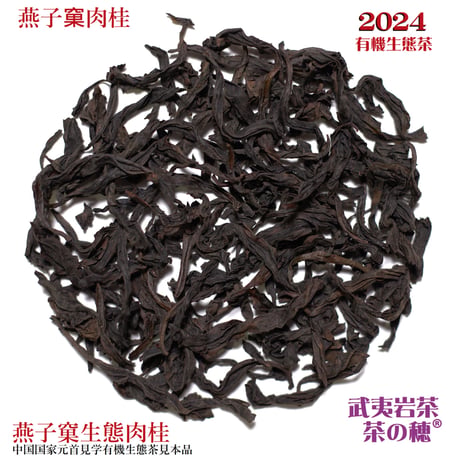 燕子窠肉桂 2024 (生態茶)