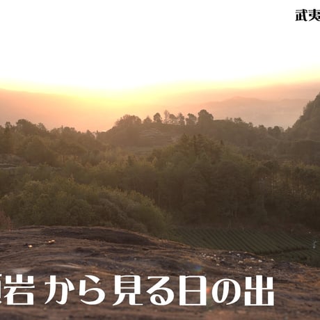 馬到成功(馬頭岩蟠龍洞肉桂)
