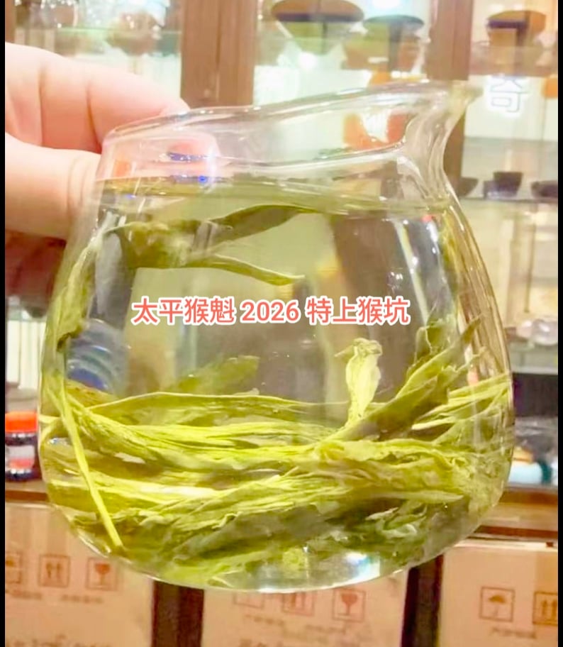 太平猴魁 2026 (7日間限定発売)数量限定品 | 武夷岩茶 茶の穂