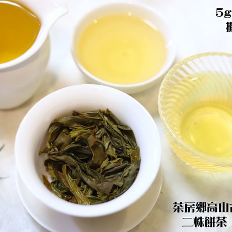 茶房郷高山古樹生茶 二株餅茶 2023