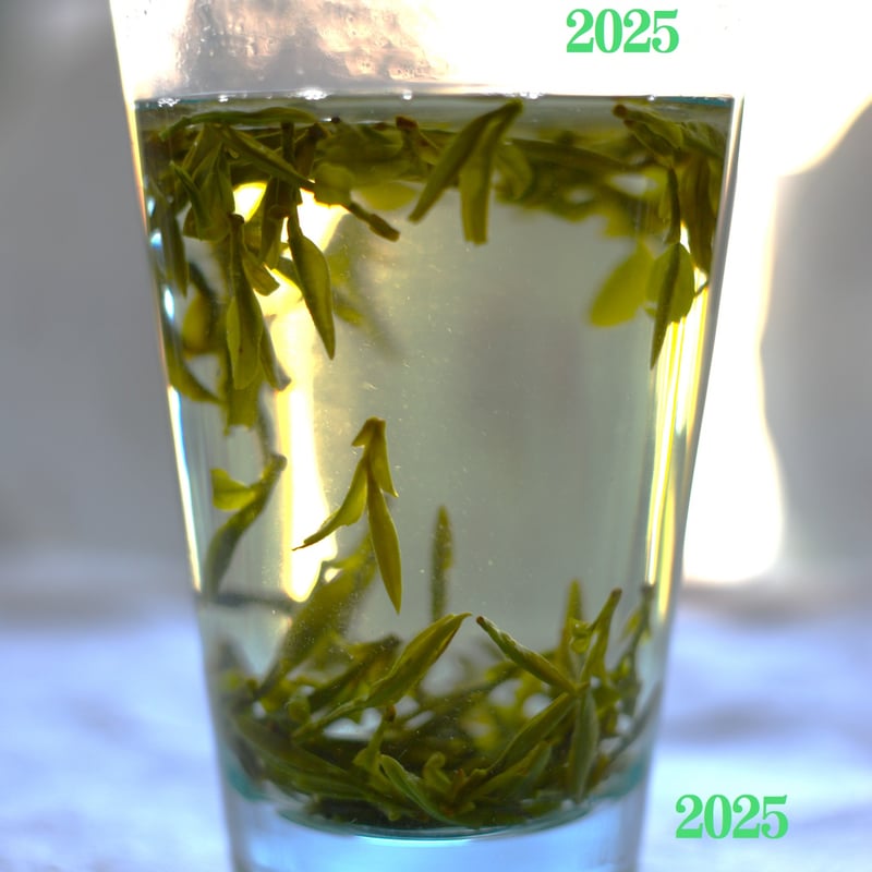 龍井茶/頭採明前西湖龍井 2025 | 武夷岩茶 茶の穂 龍井茶/頭採明前西湖龍井 2025 | 武夷岩茶 茶の穂
