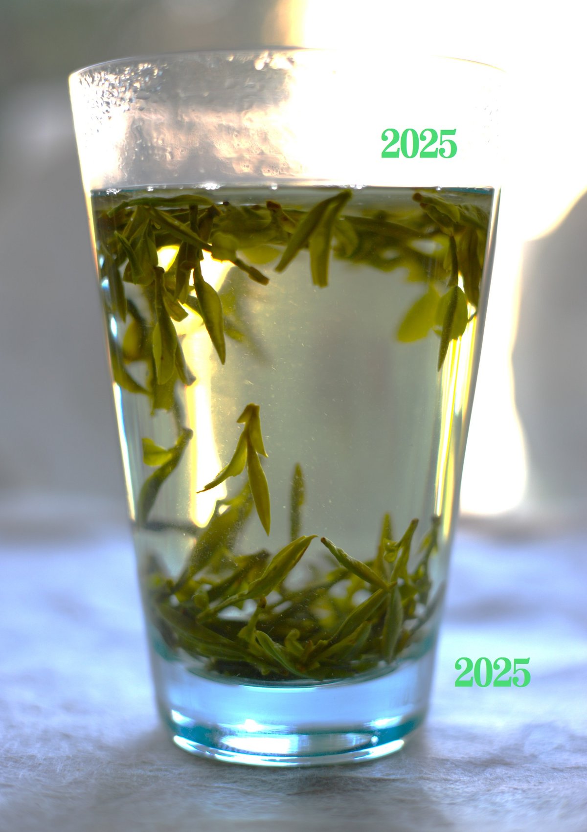 龍井茶/頭採明前西湖龍井 2025 | 武夷岩茶 茶の穂 龍井茶/頭採明前西湖龍井 2025 | 武夷岩茶 茶の穂
