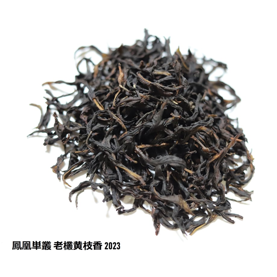 65ff913223e1904e697daacd