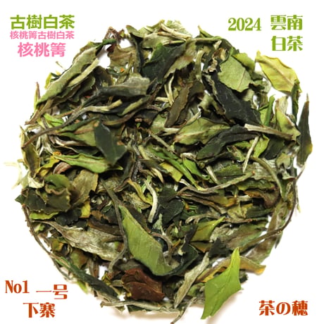核桃箐古樹白茶 2024　単一茶園限定