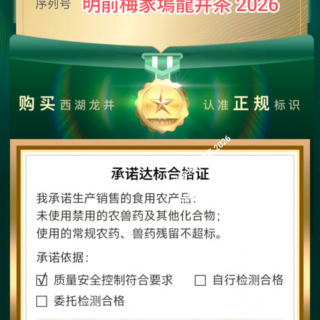 明前梅家塢龍井茶 2026 頭採群体