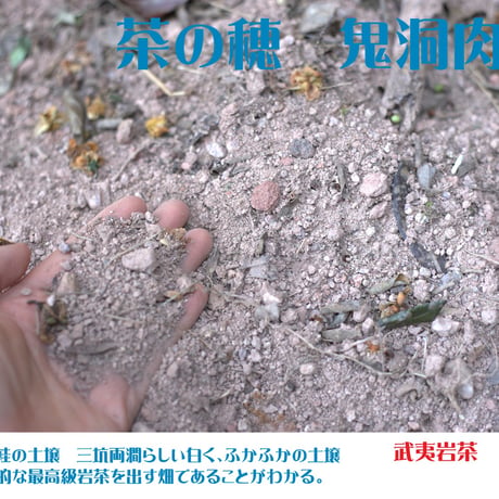 鬼洞肉桂 2024 (花香型)