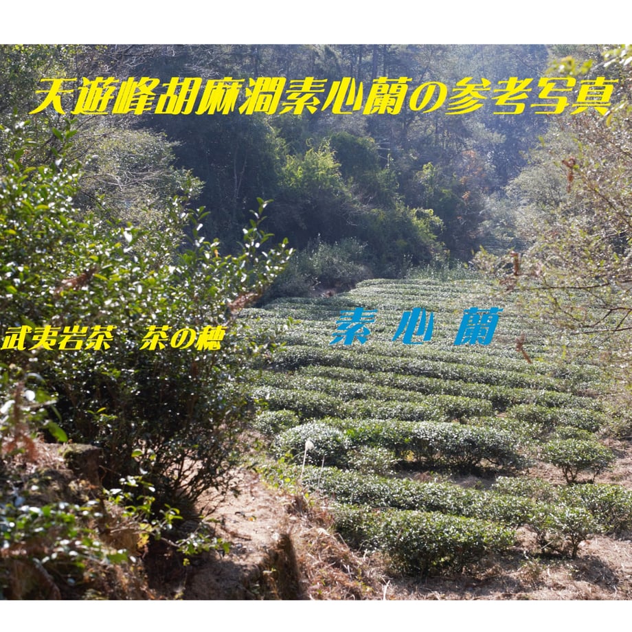 65fba8970decc70036cb188f