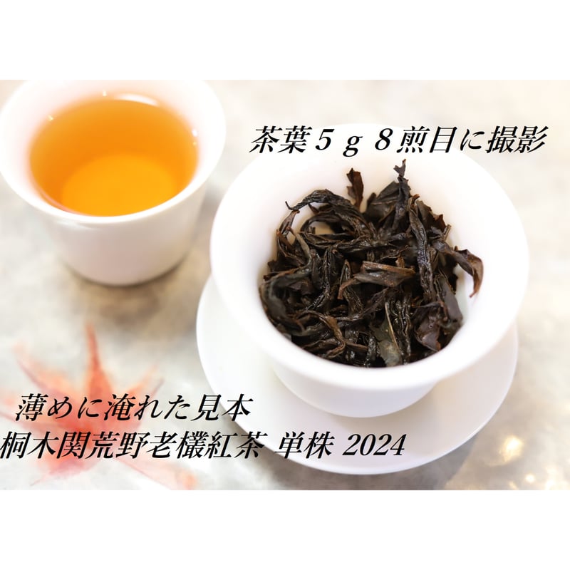 桐木関荒野老欉紅茶 単株 2024 | 武夷岩茶 茶の穂