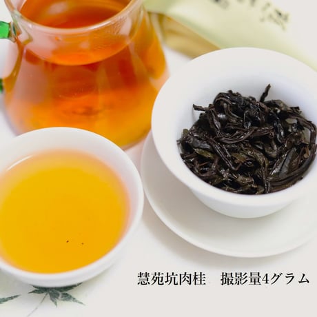 慧苑坑肉桂